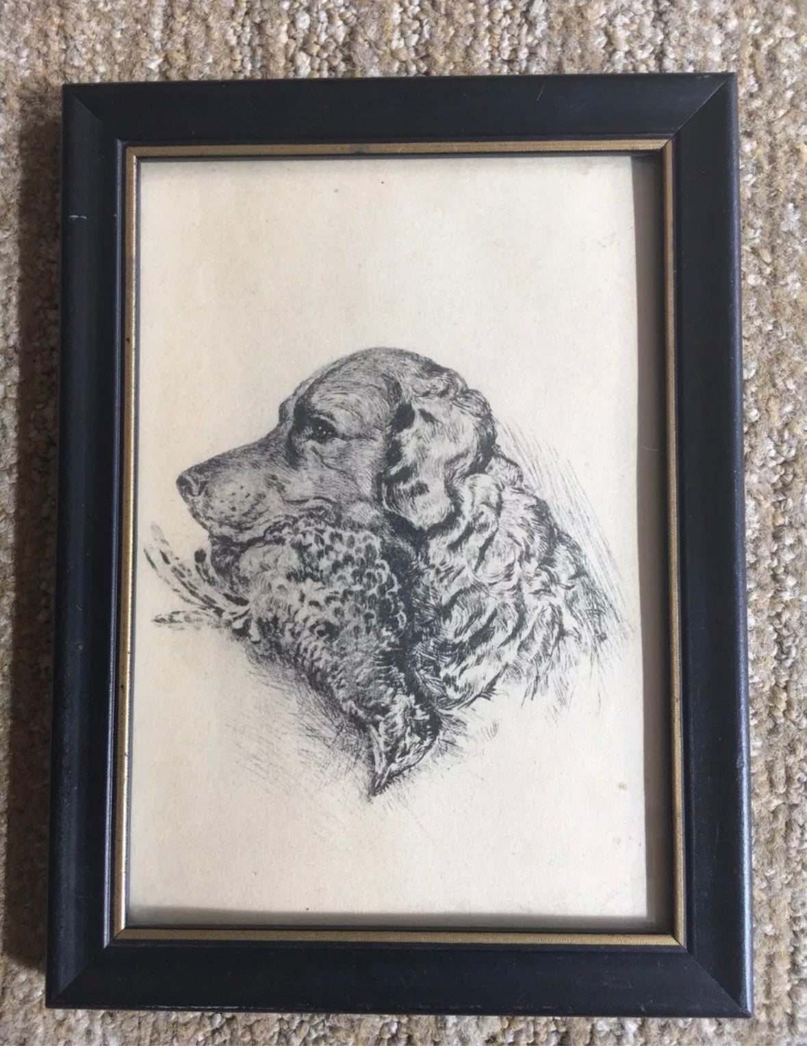 Framed Sketch of Golden Retriever Carrying Quail