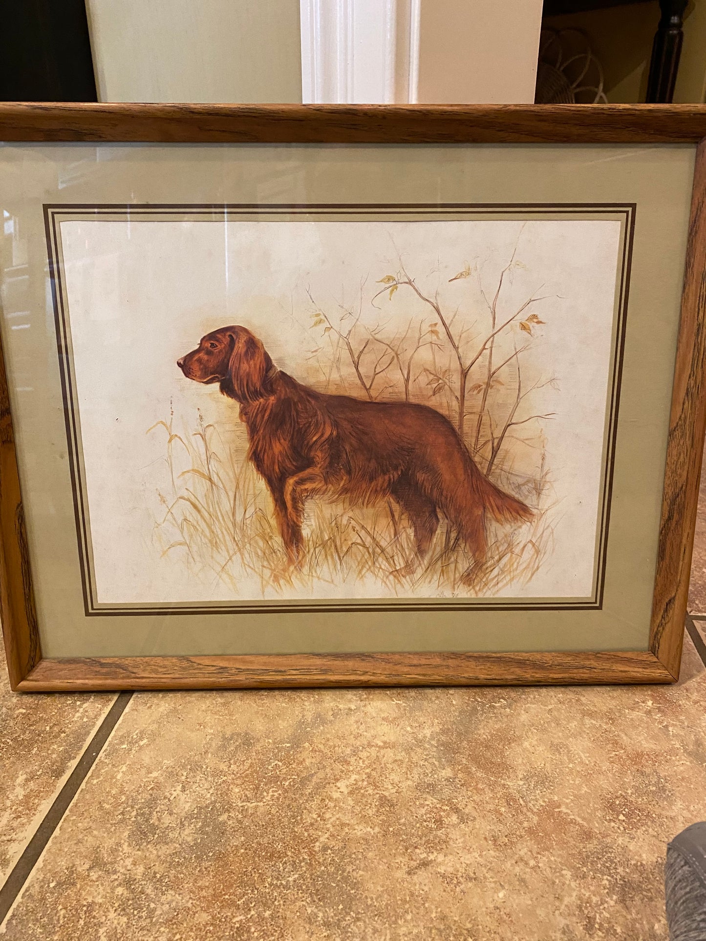 Framed Irish Setter