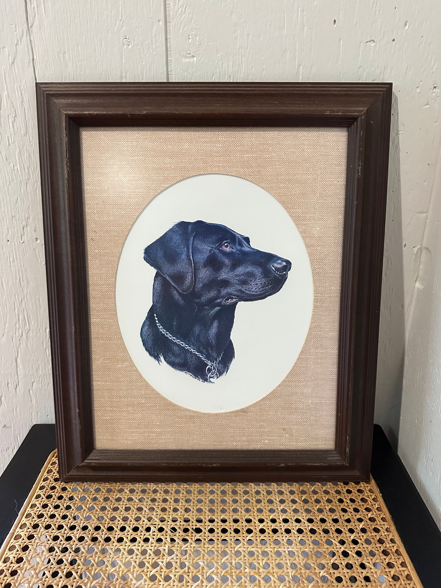 Framed Labrador Retriever