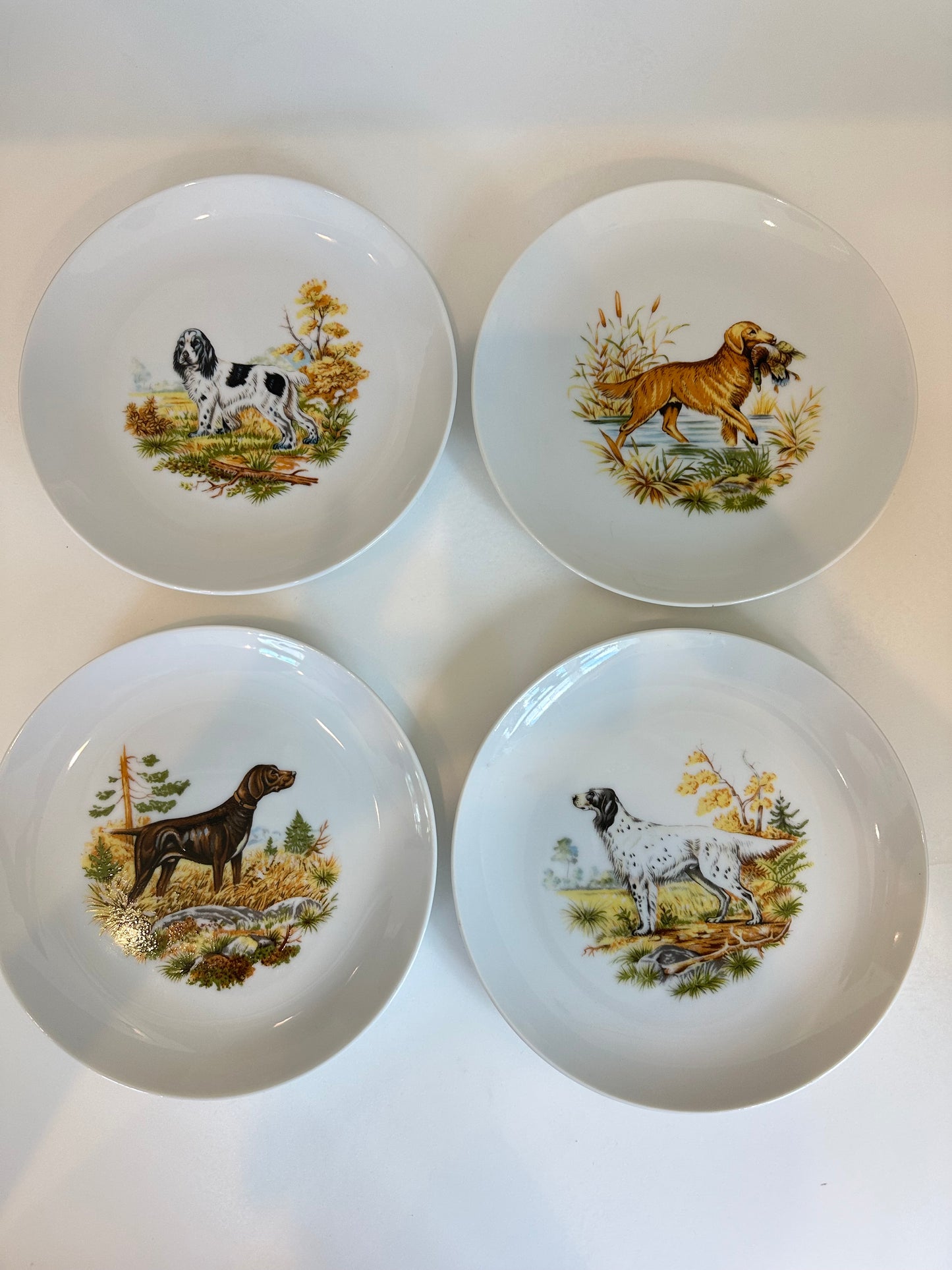 Set of 4 Andrea by Sadek Dog Plates