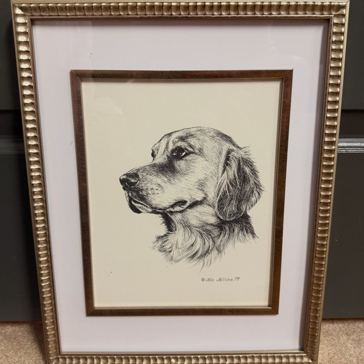 Framed Golden Retriever