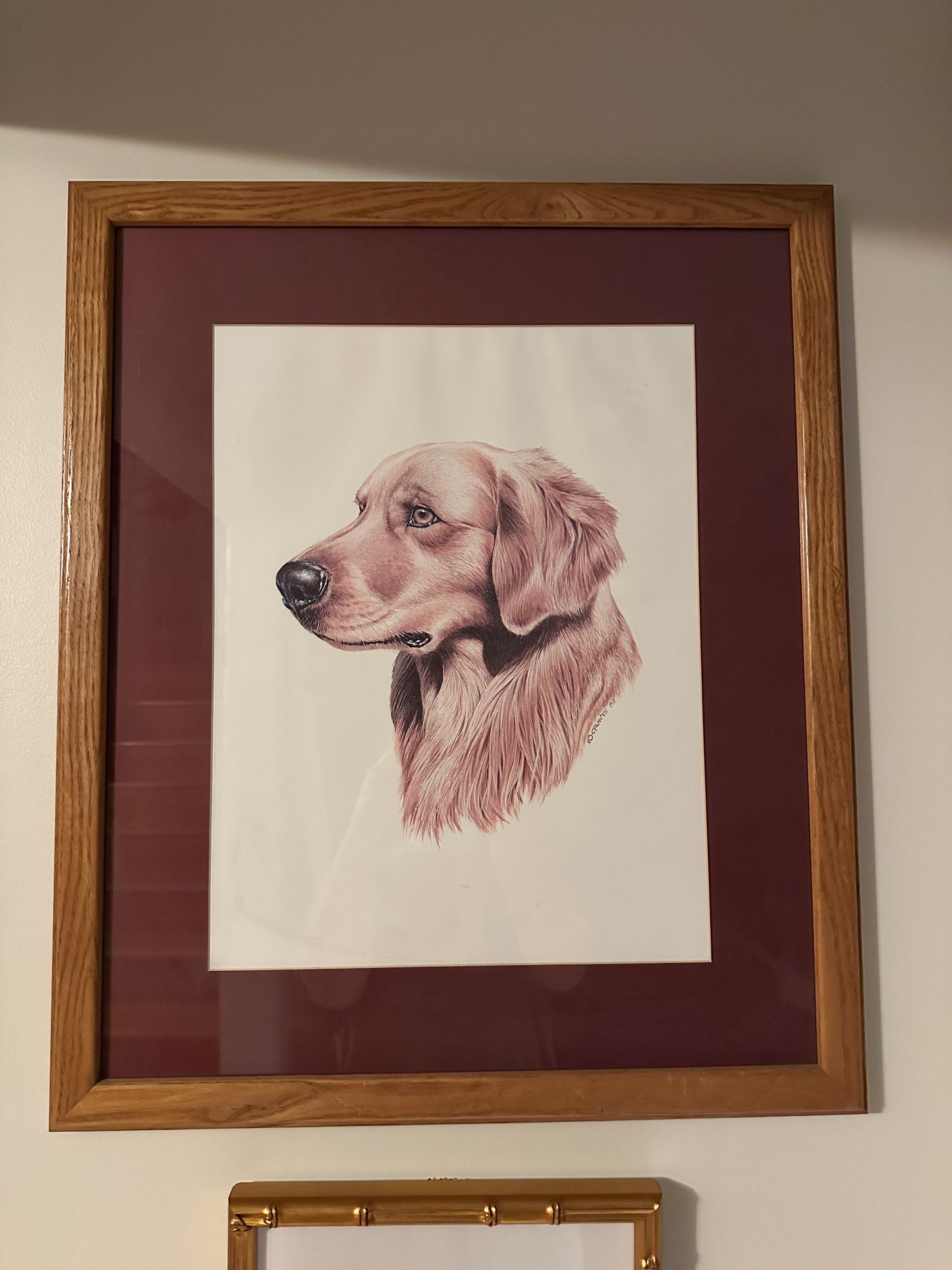 Framed Golden Retriever Head Shot