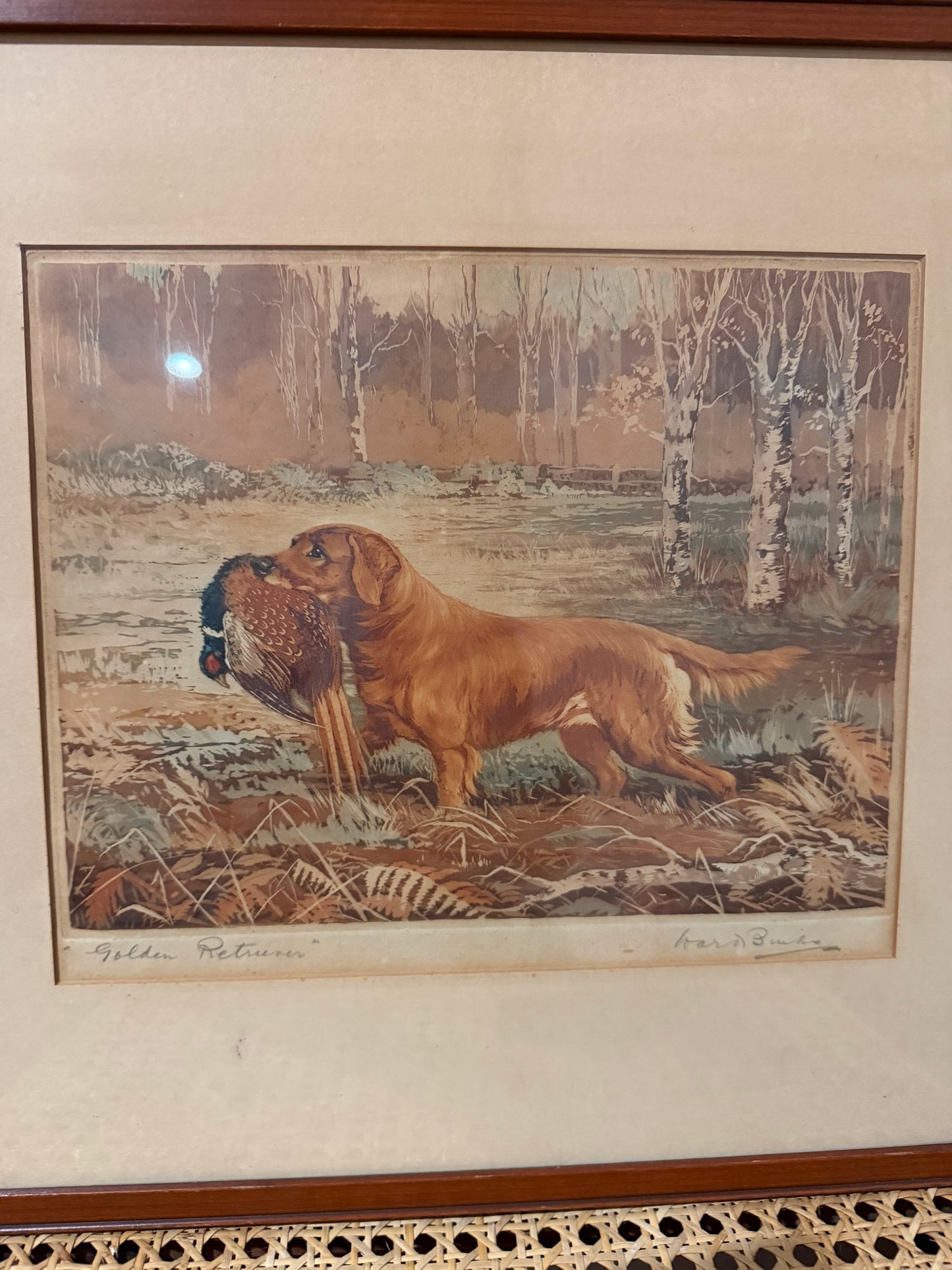Framed Picture Ward Binks Golden Retriever with Pheasant