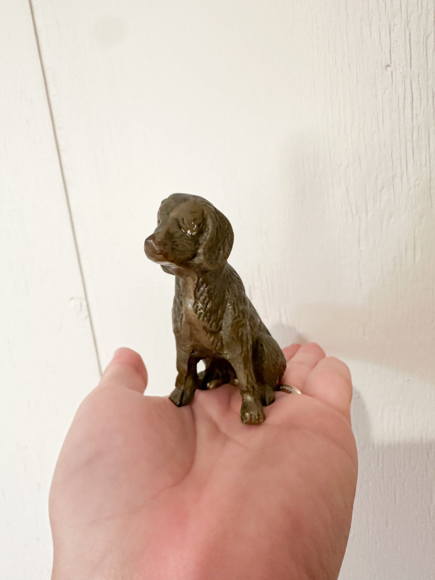 Mini Brass Puppy