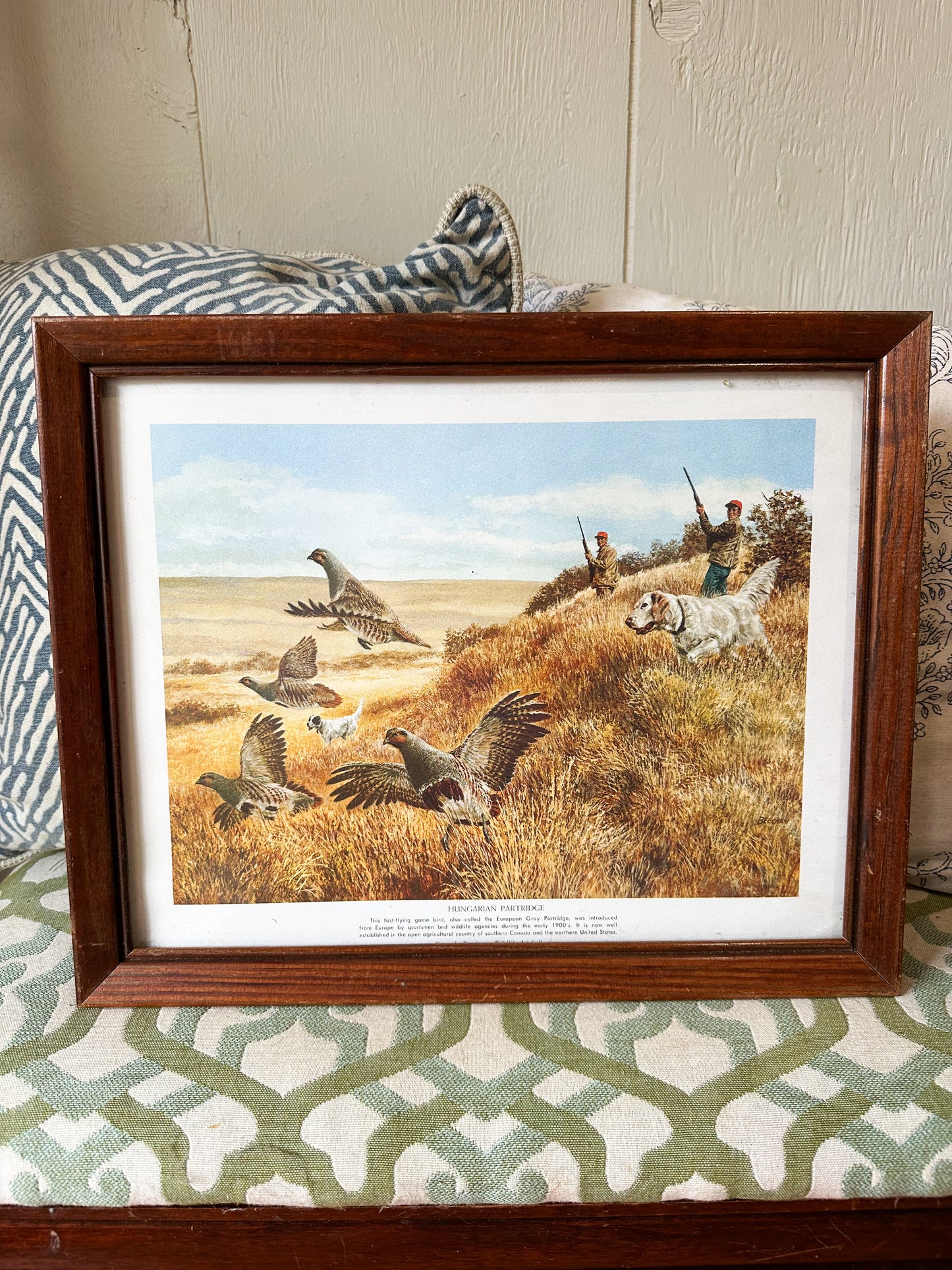 Framed Hungarian Partridge Hunt