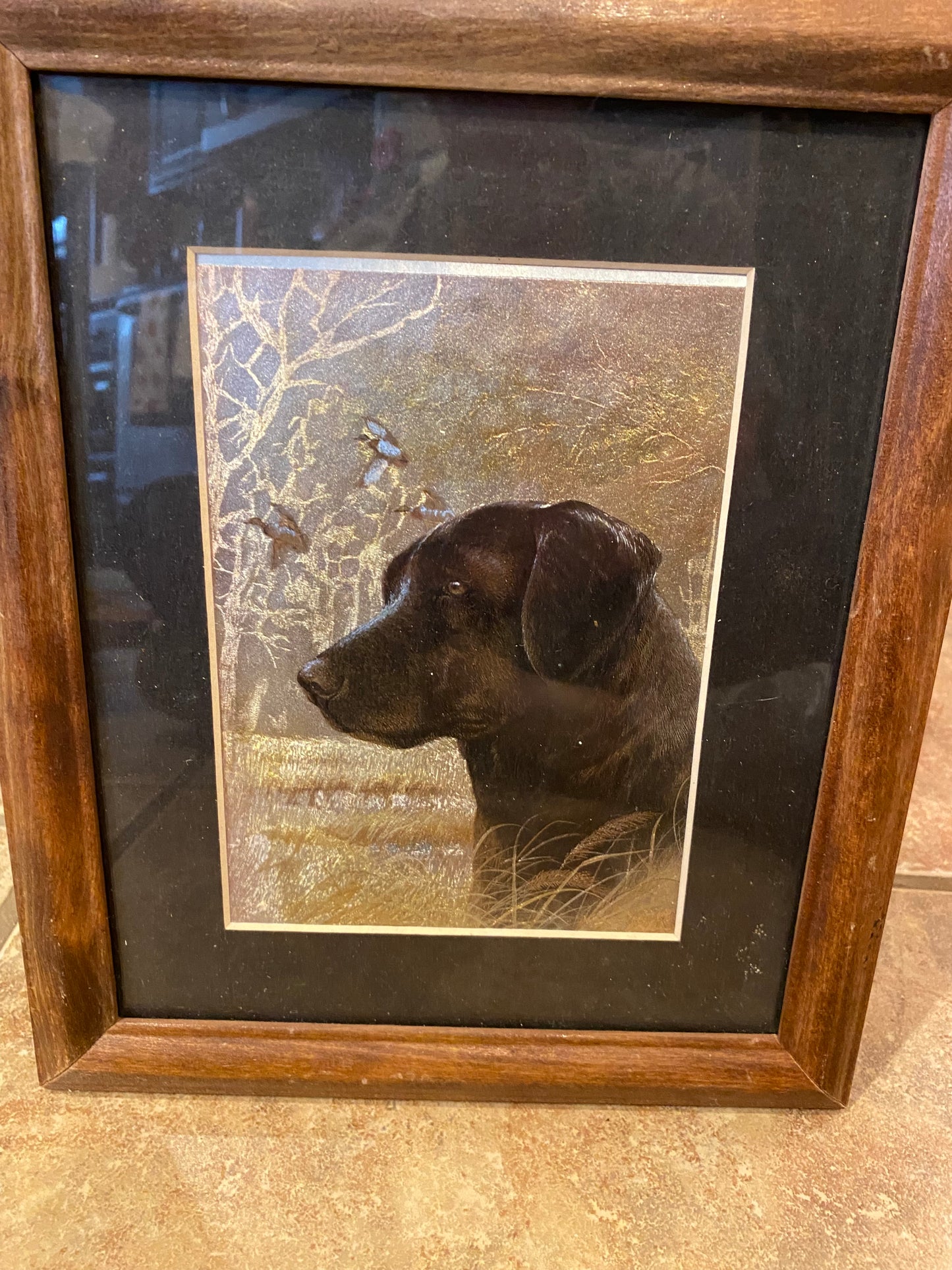 Framed Black Labrador Retriever