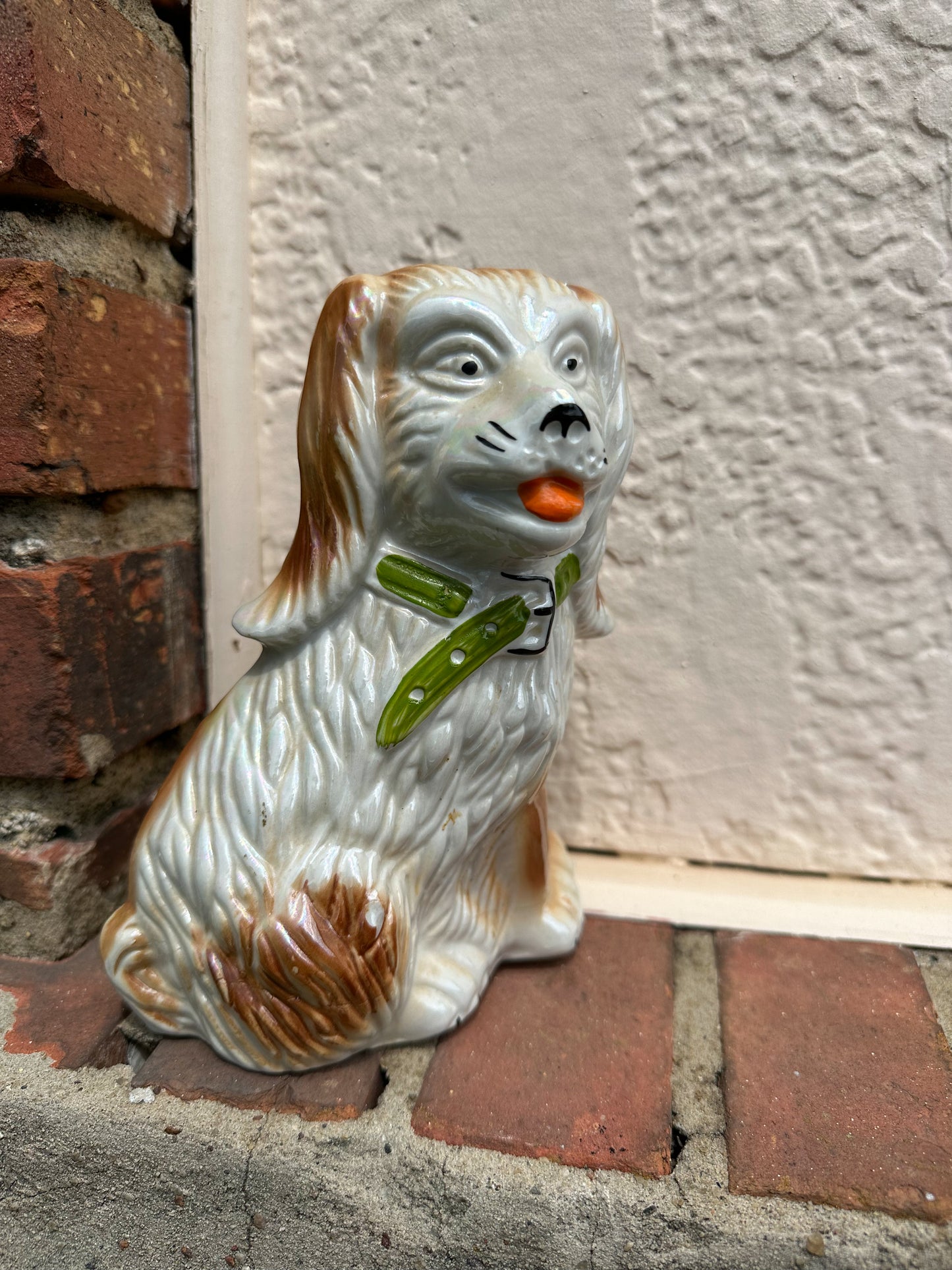 Staffie-Style Spaniel
