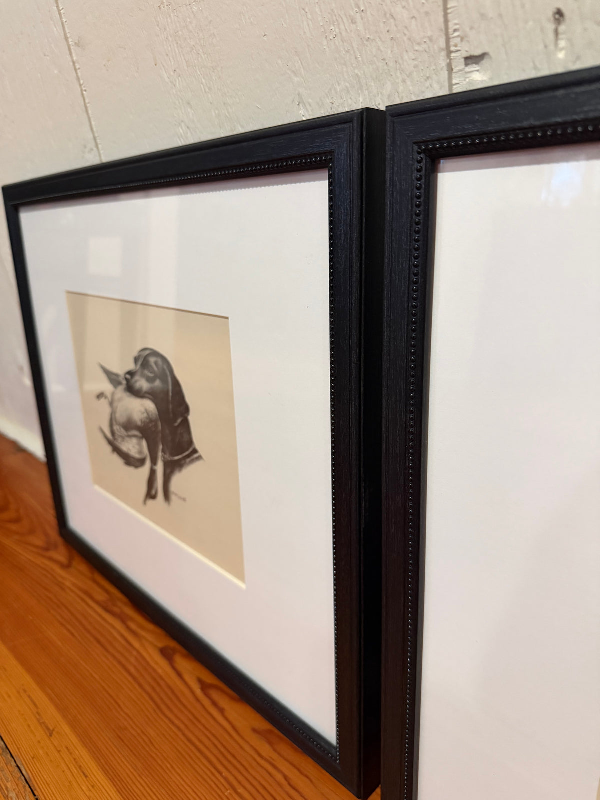 Framed Fred McCaleb Dog Sketches
