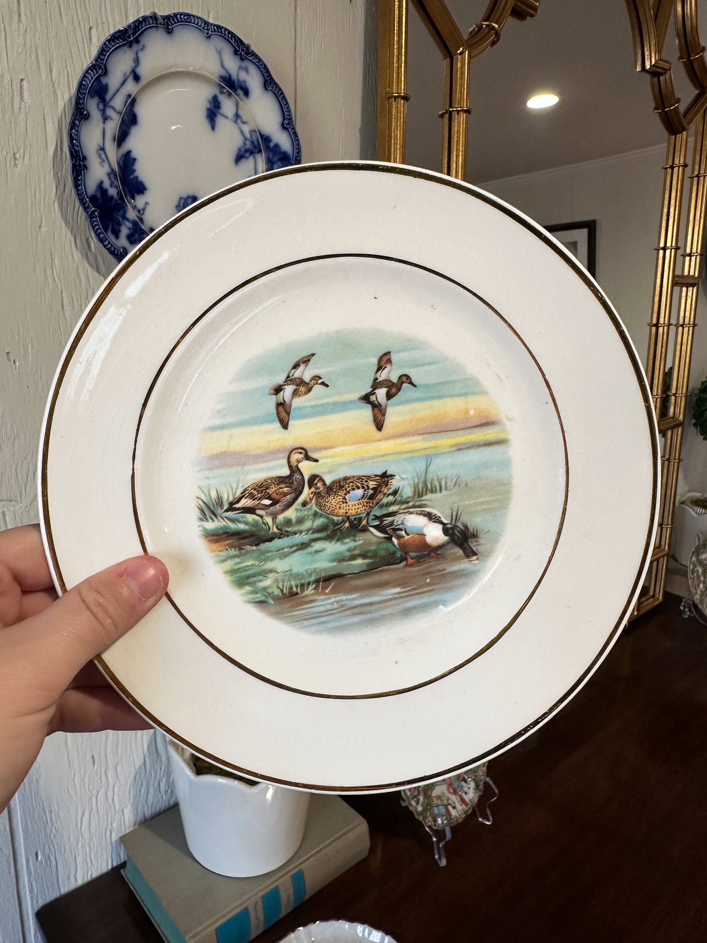 Pheasant & Duck Plate Pair