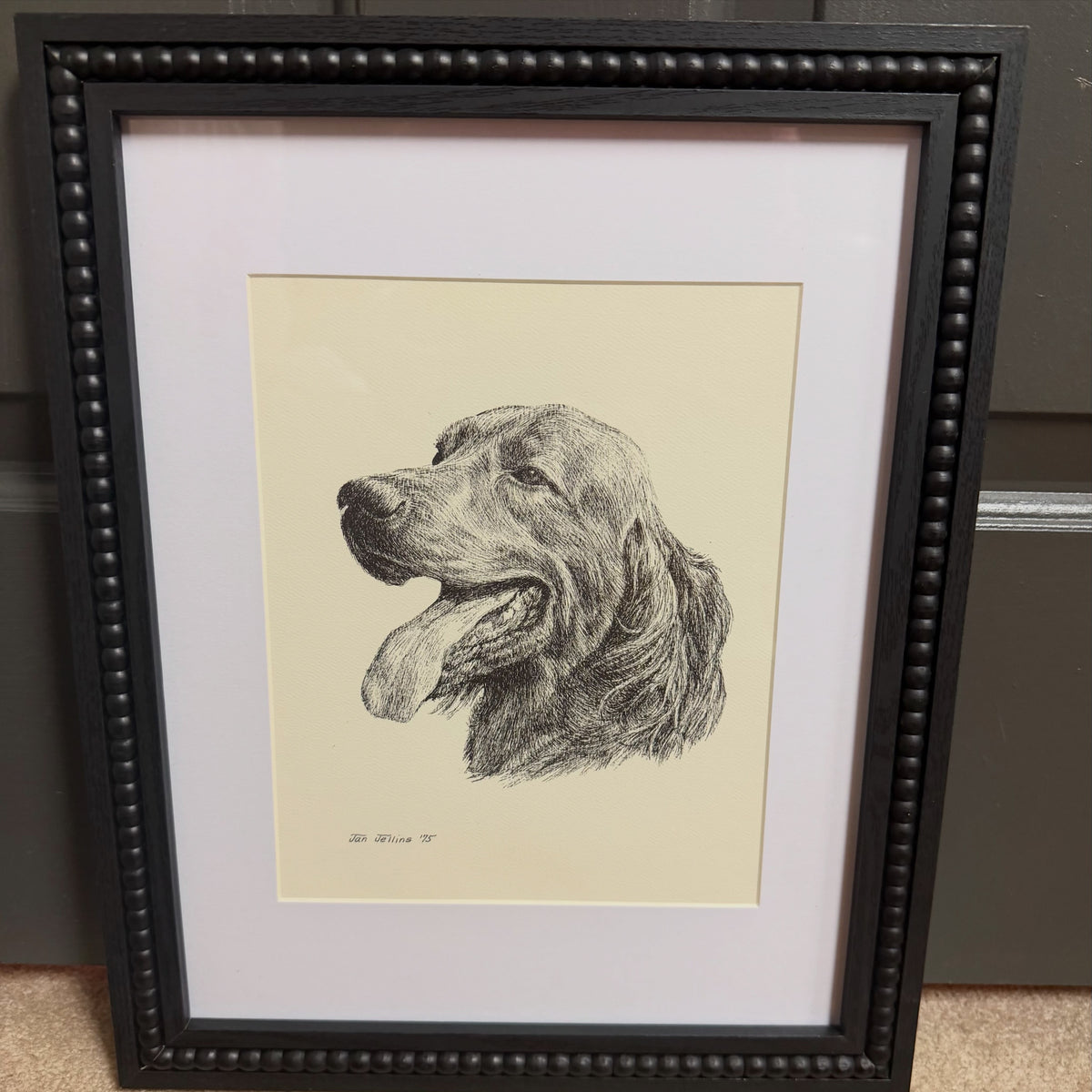 Framed Golden Retriever