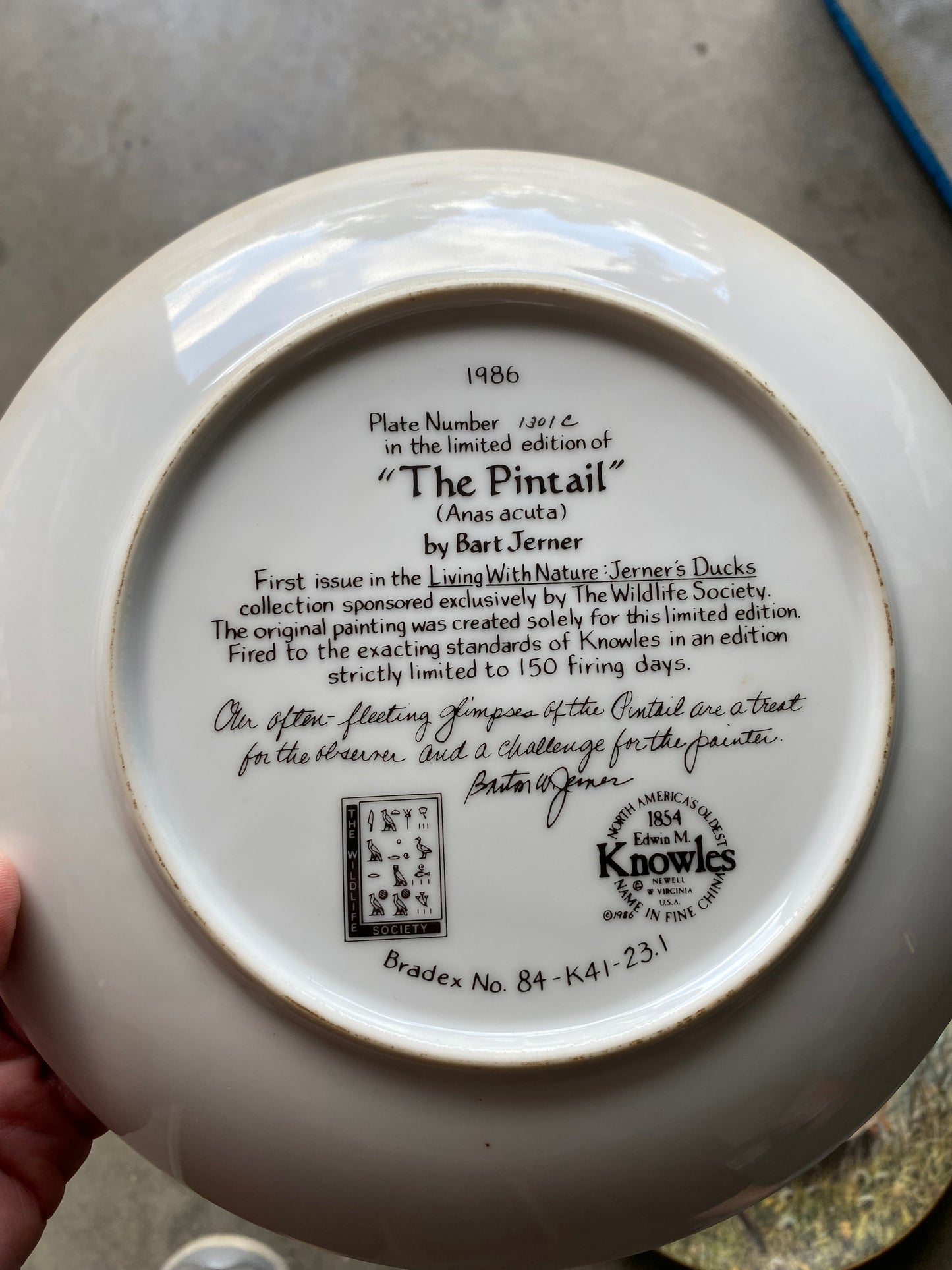 Bart Jerner Duck Plate Set