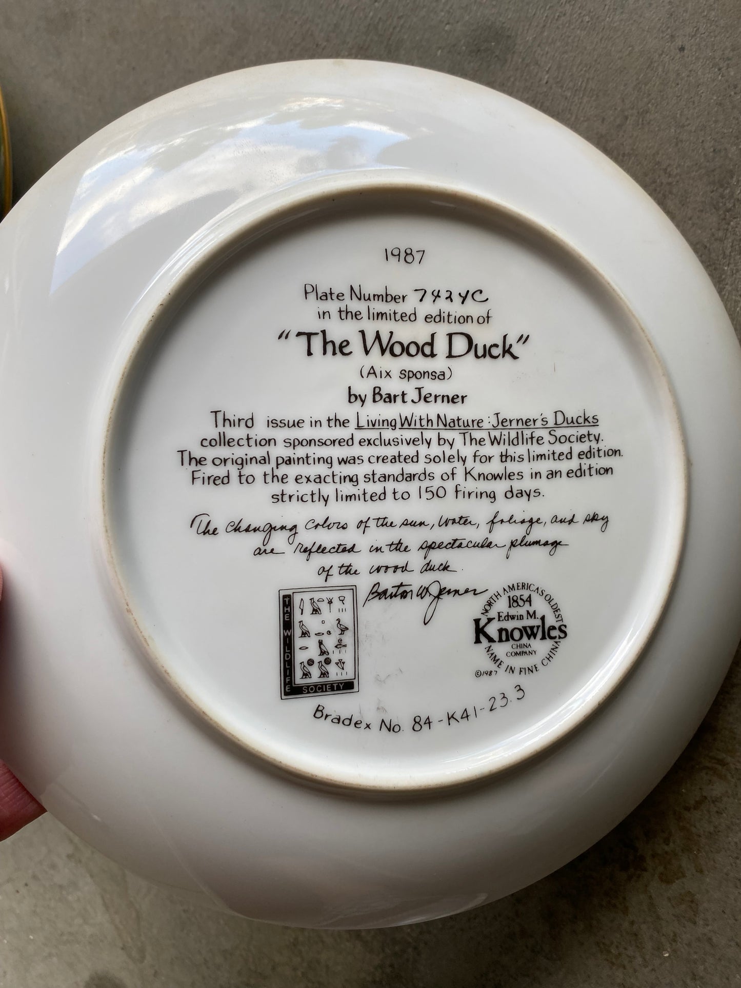 Bart Jerner Duck Plate Set