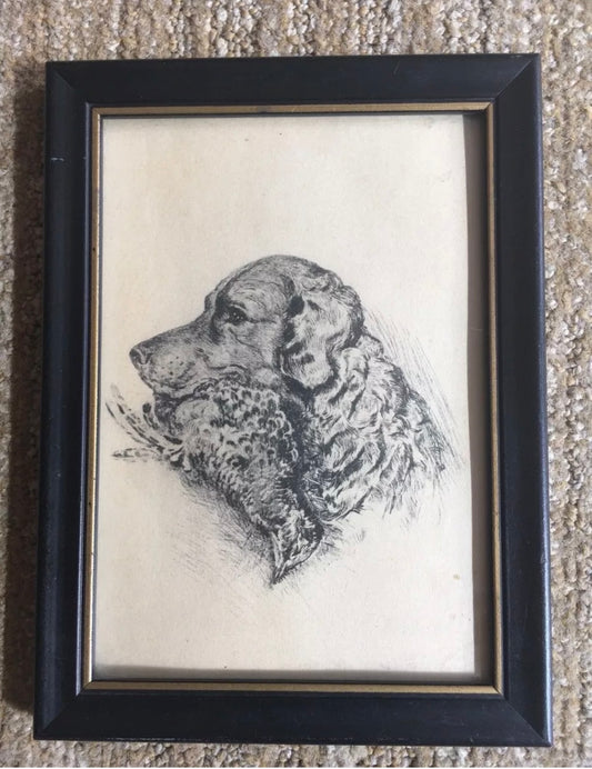 Framed Sketch of Golden Retriever Carrying Quail