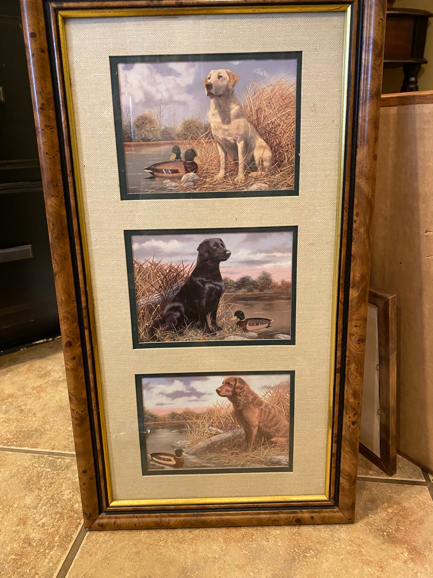 Framed Retrievers