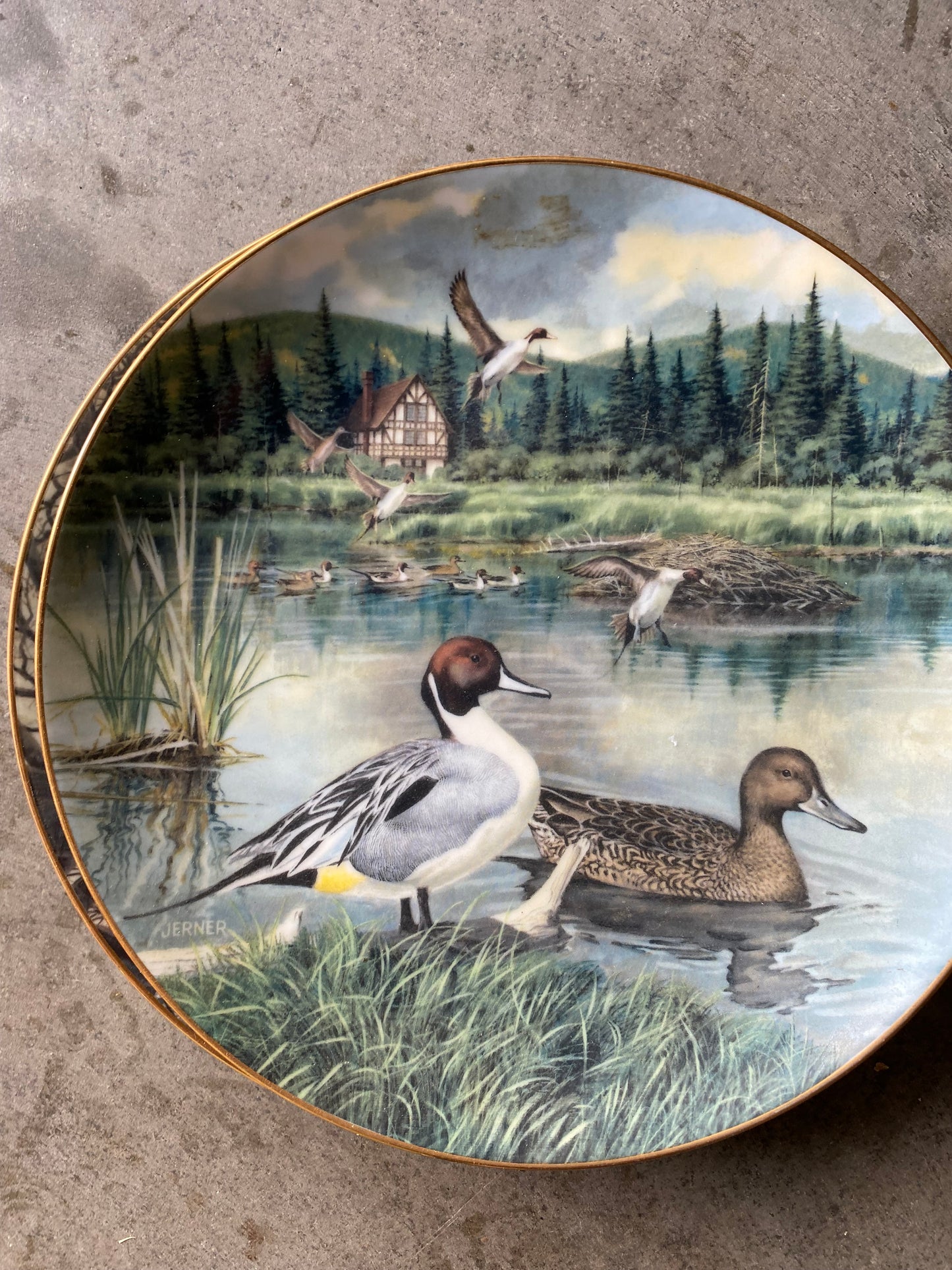 Bart Jerner Duck Plate Set