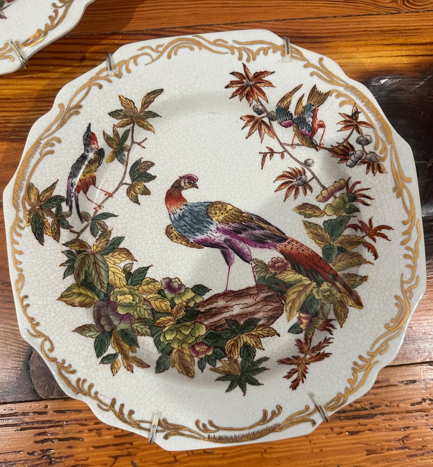 Colorful Pheasant Plates (Set of 3)