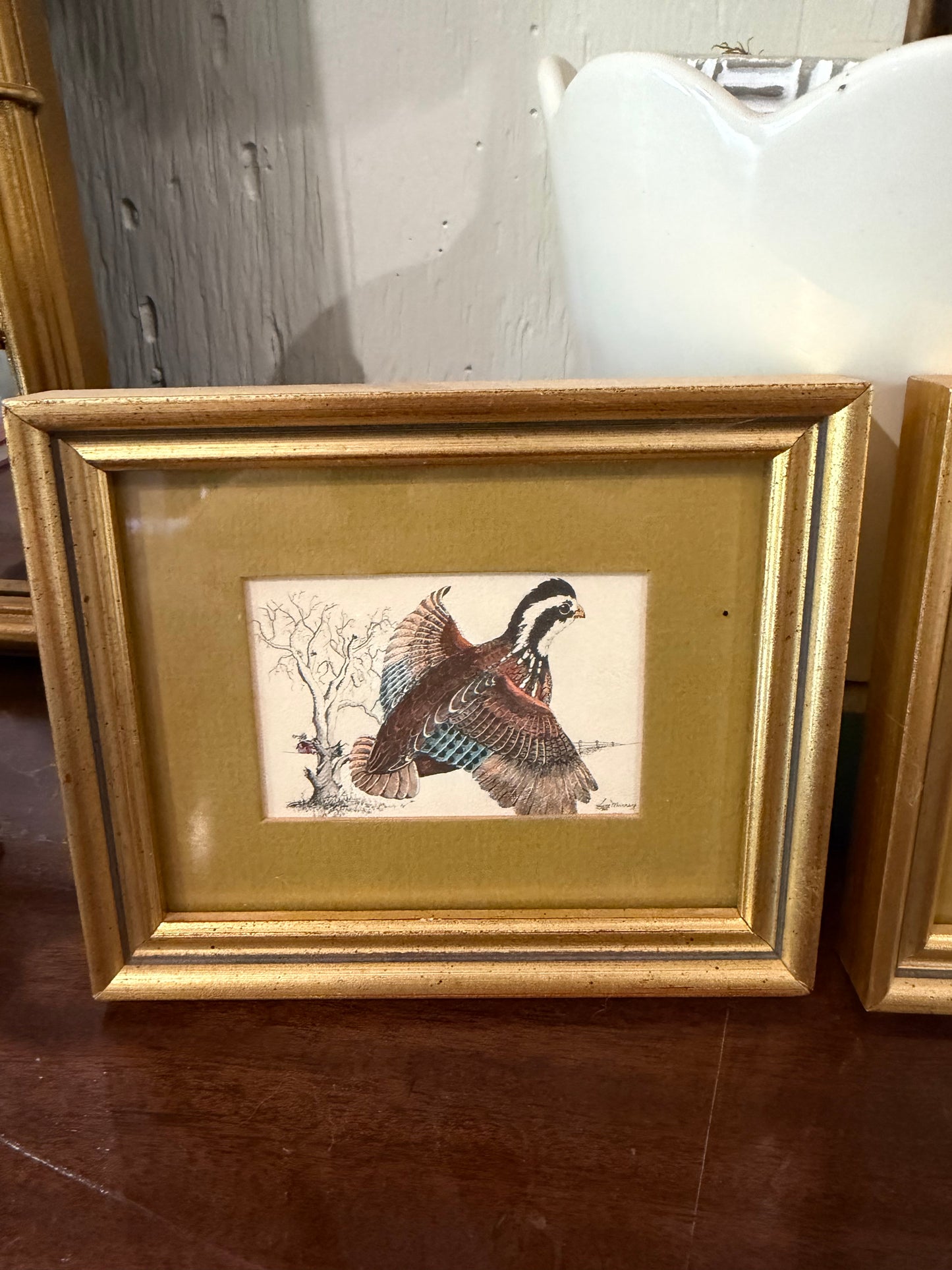 Quail & Mallard Framed Pair