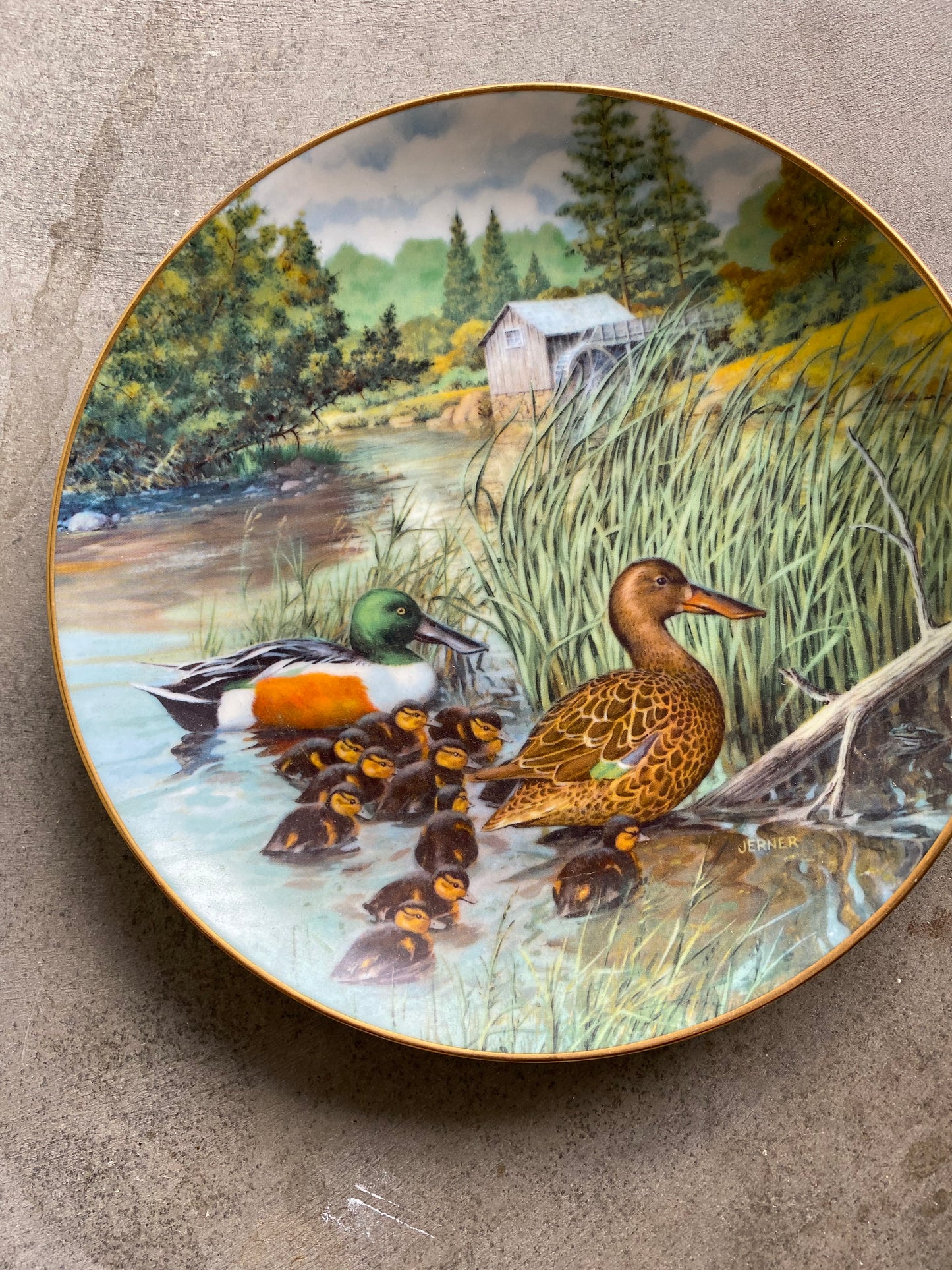 Bart Jerner Duck Plate Set