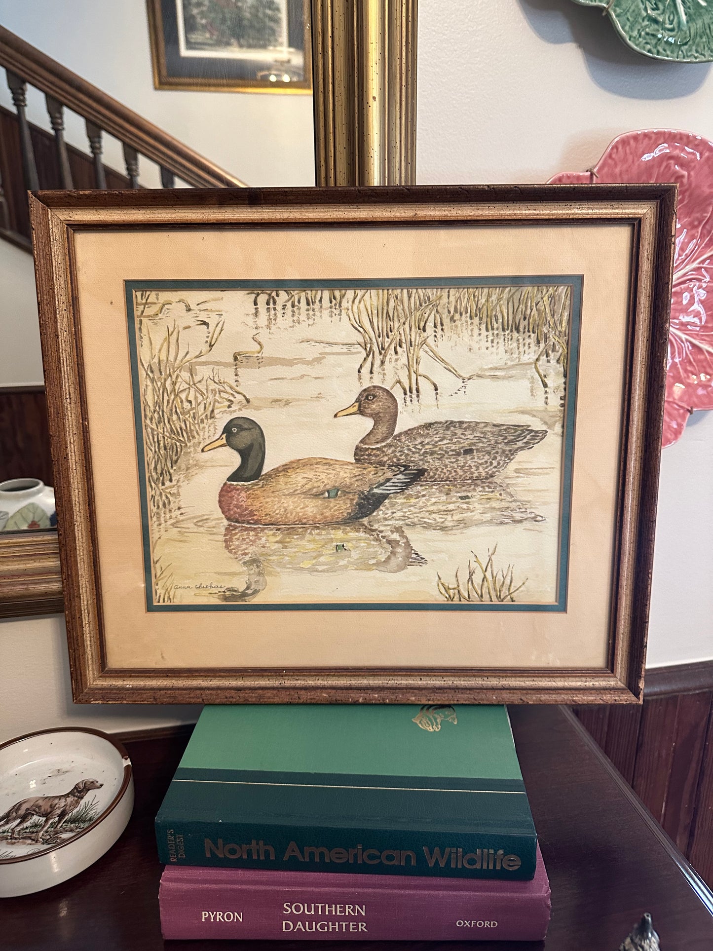 Mallard Picture