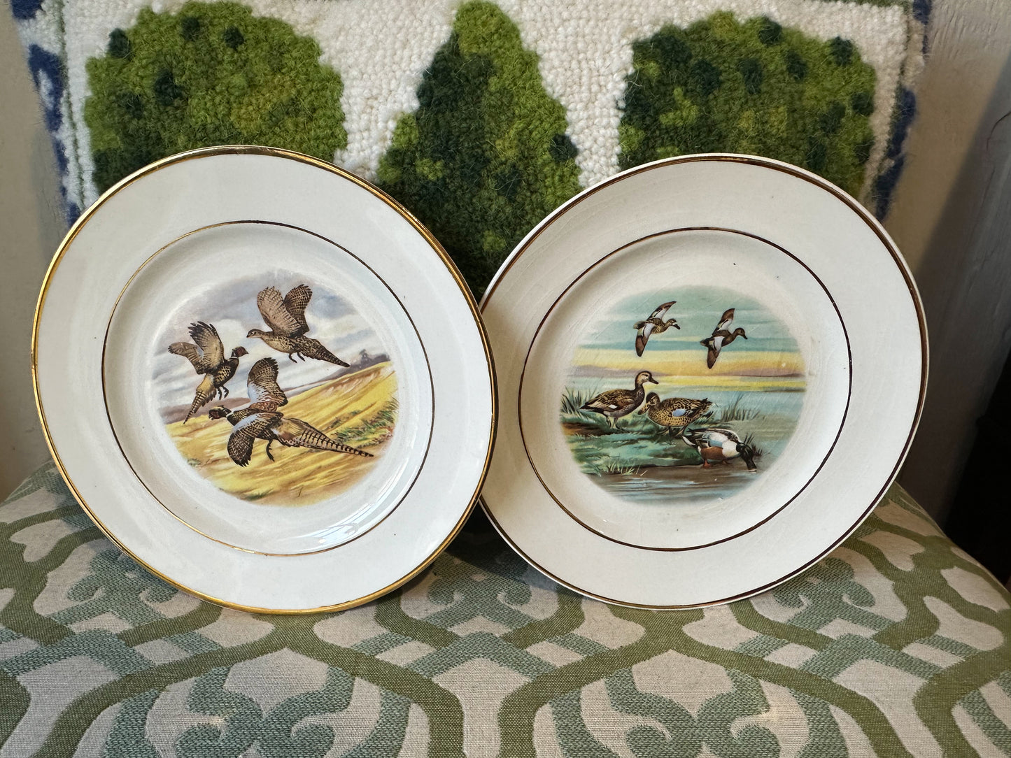 Pheasant & Duck Plate Pair