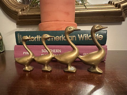 Brass Ducks in a Row