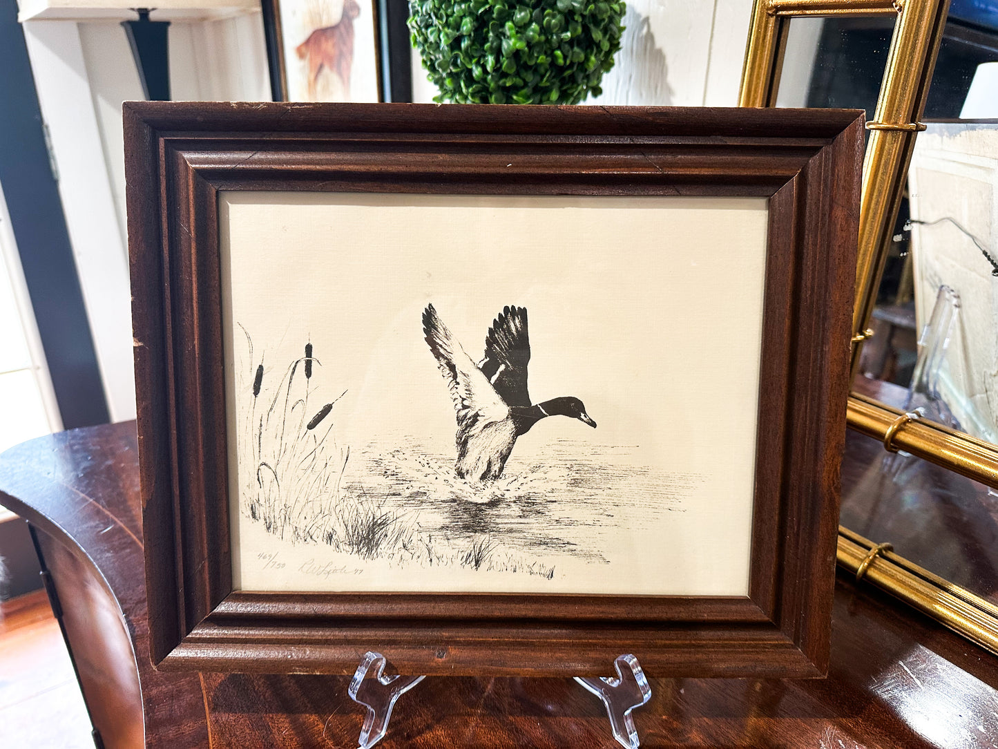 Vintage Numbered Mallard Framed Sketch