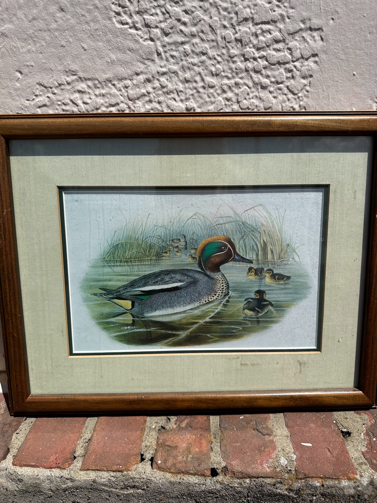 Duck Picture Pair