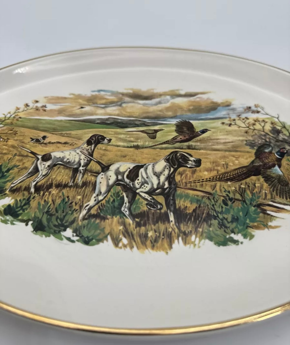 Gold-Rimmed Hunting Dog & Pheasant Platter