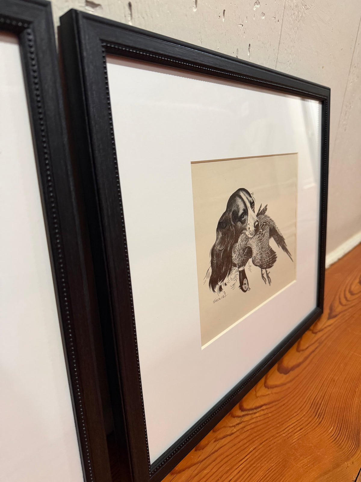Framed Fred McCaleb Dog Sketches