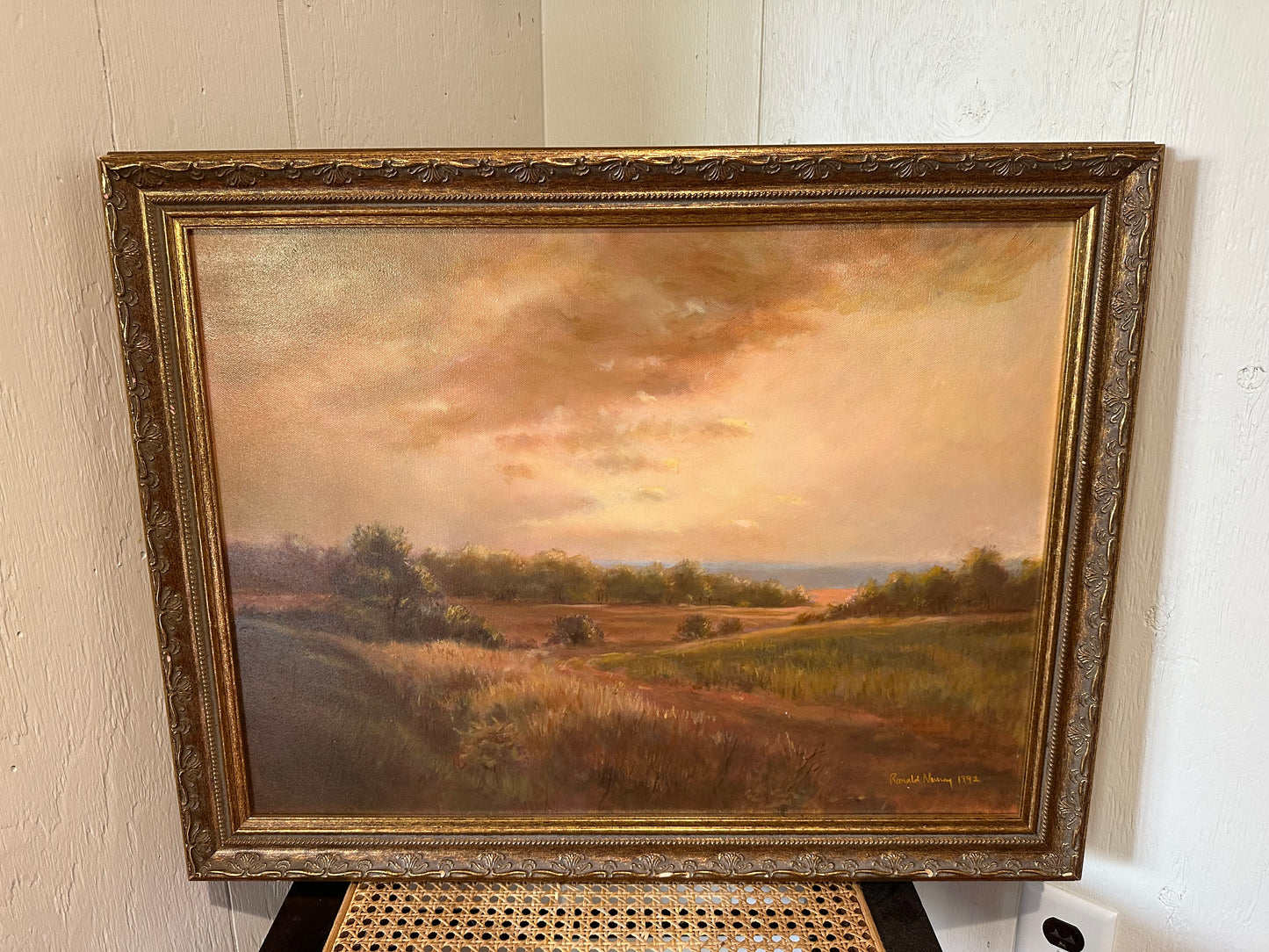 Framed Landscape Art