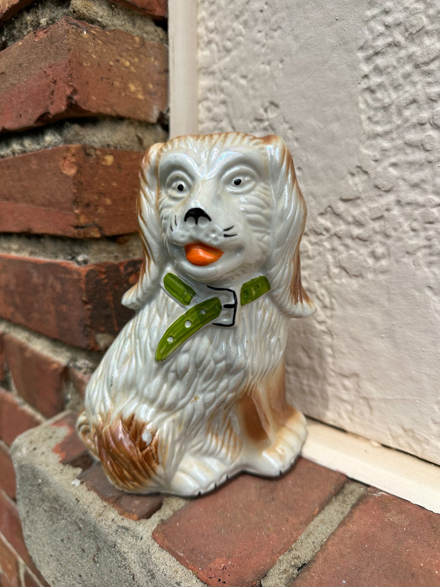 Staffie-Style Spaniel