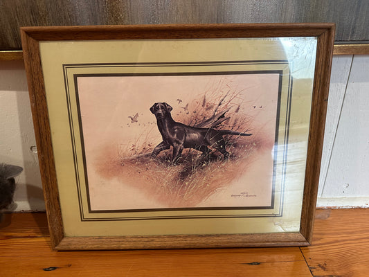 Framed Gregory F. Messier Lab Picture