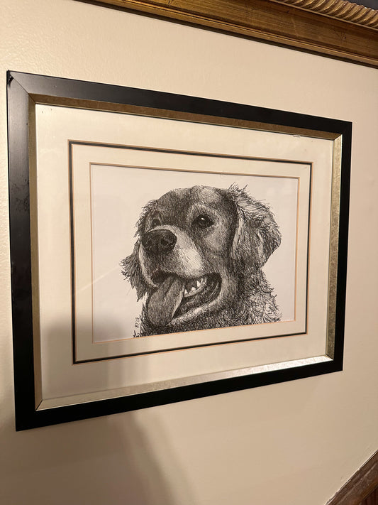 Sketched Golden Retriever