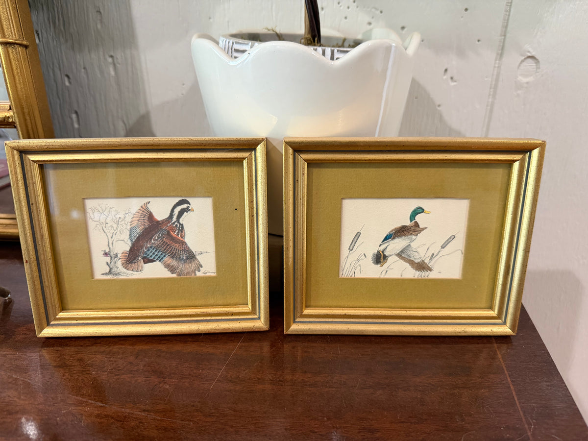 Quail & Mallard Framed Pair