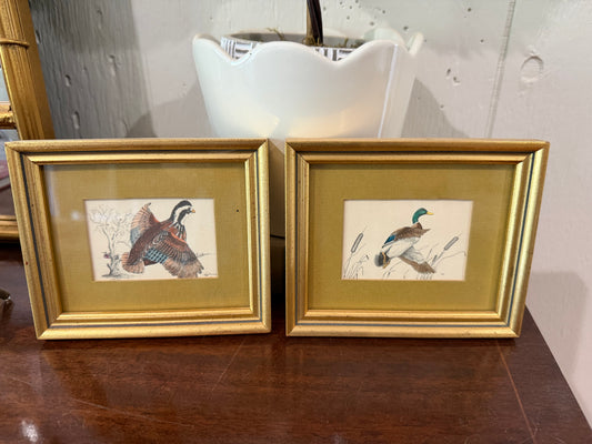 Quail & Mallard Framed Pair
