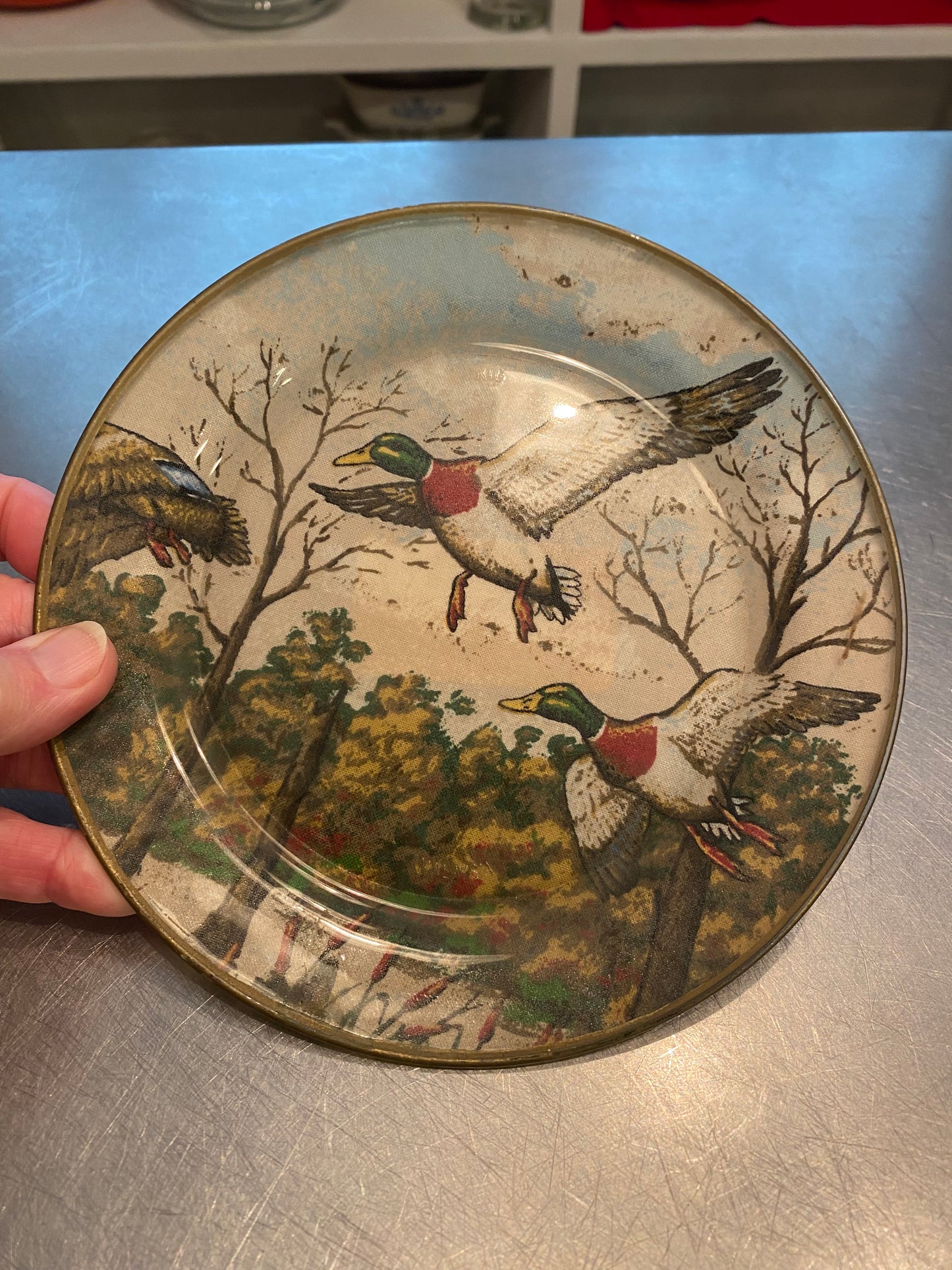 Duck Plate