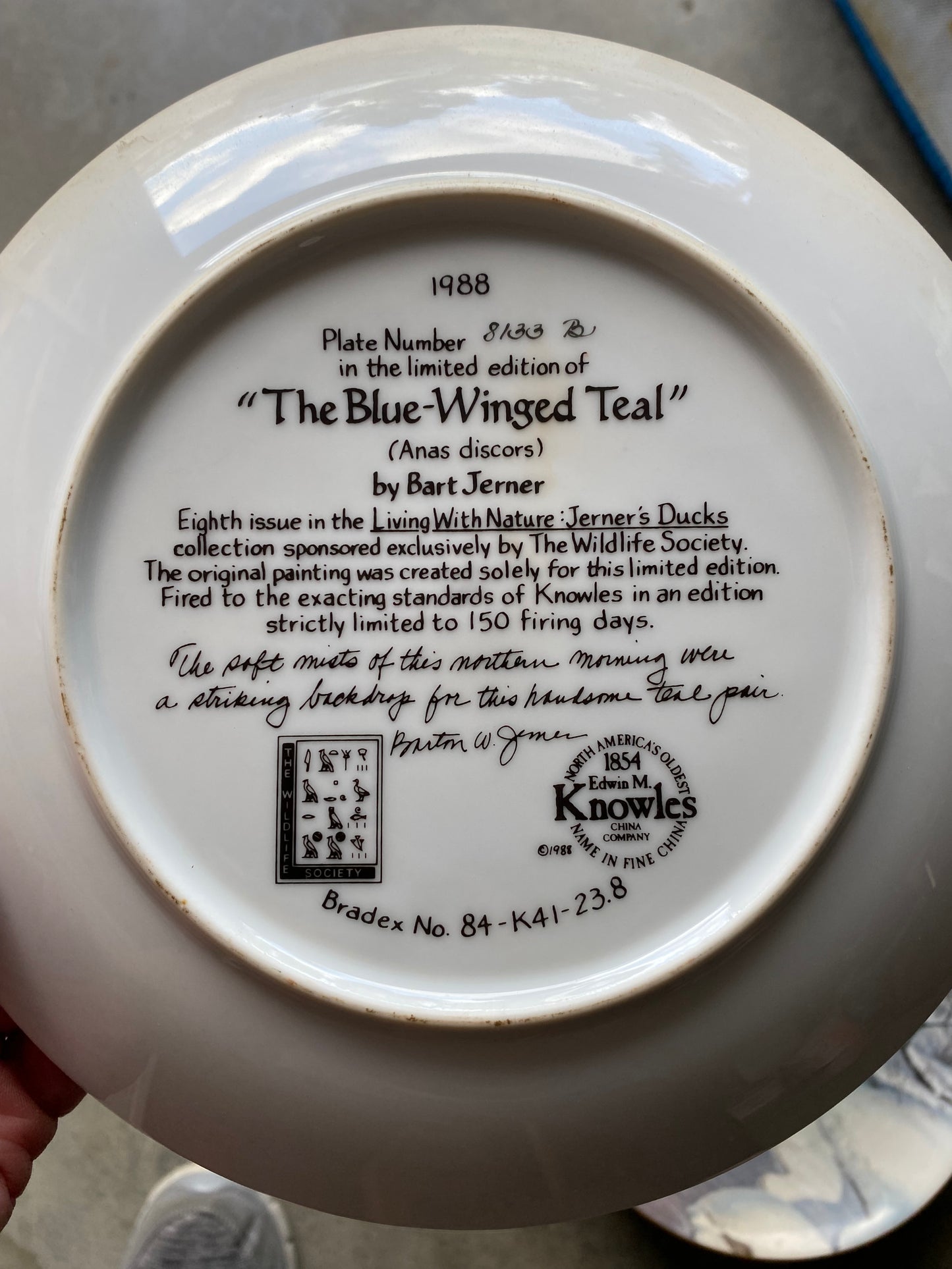 Bart Jerner Duck Plate Set