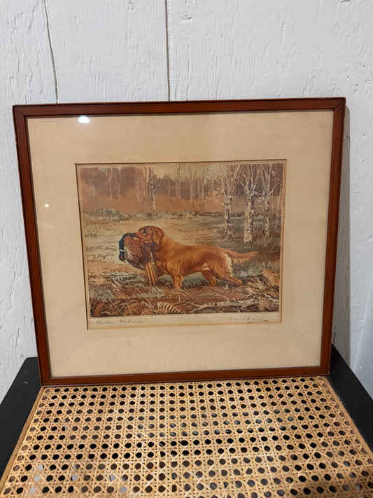 Framed Picture Ward Binks Golden Retriever with Pheasant