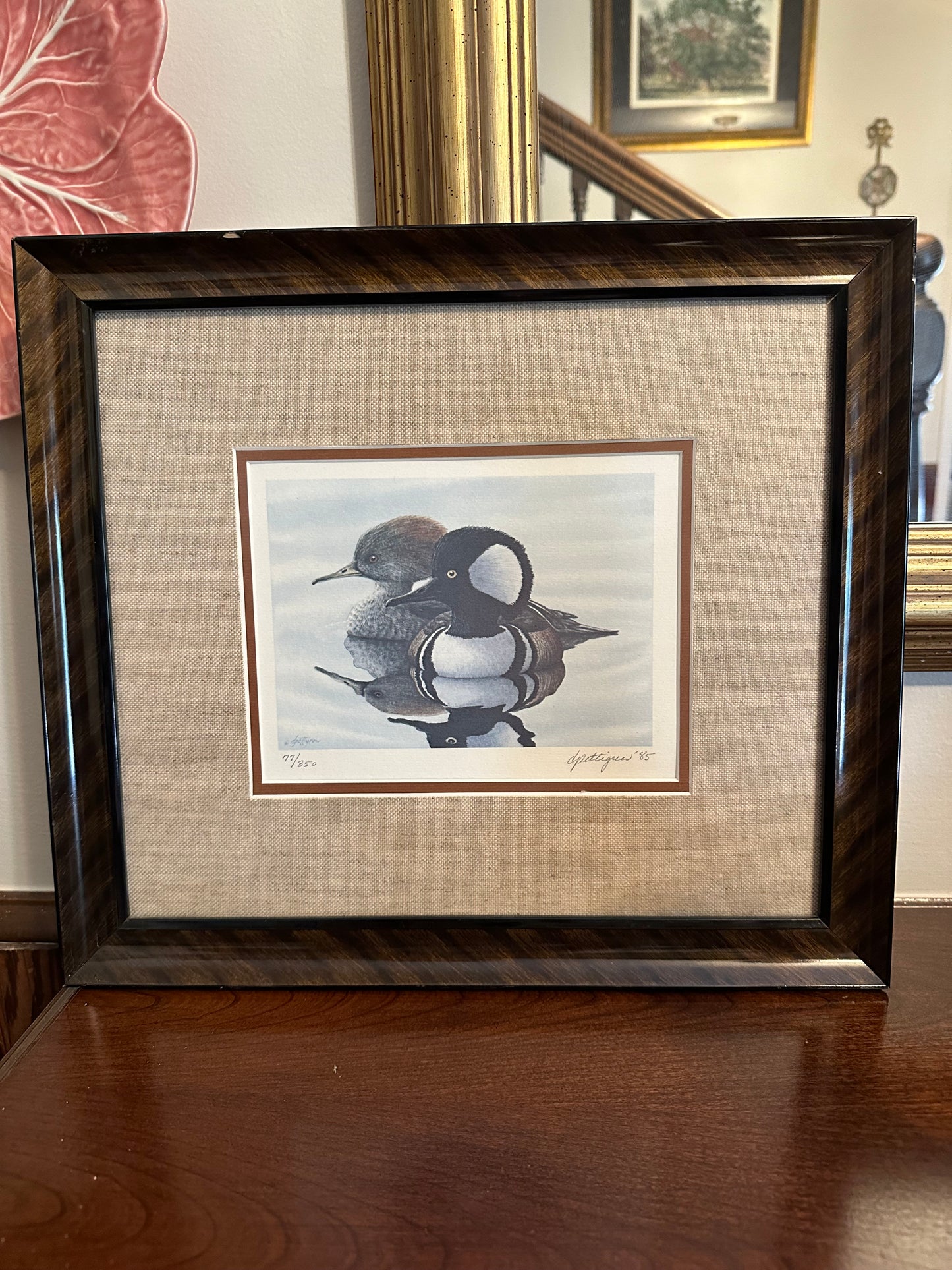 Framed Hooded Merganser Picture