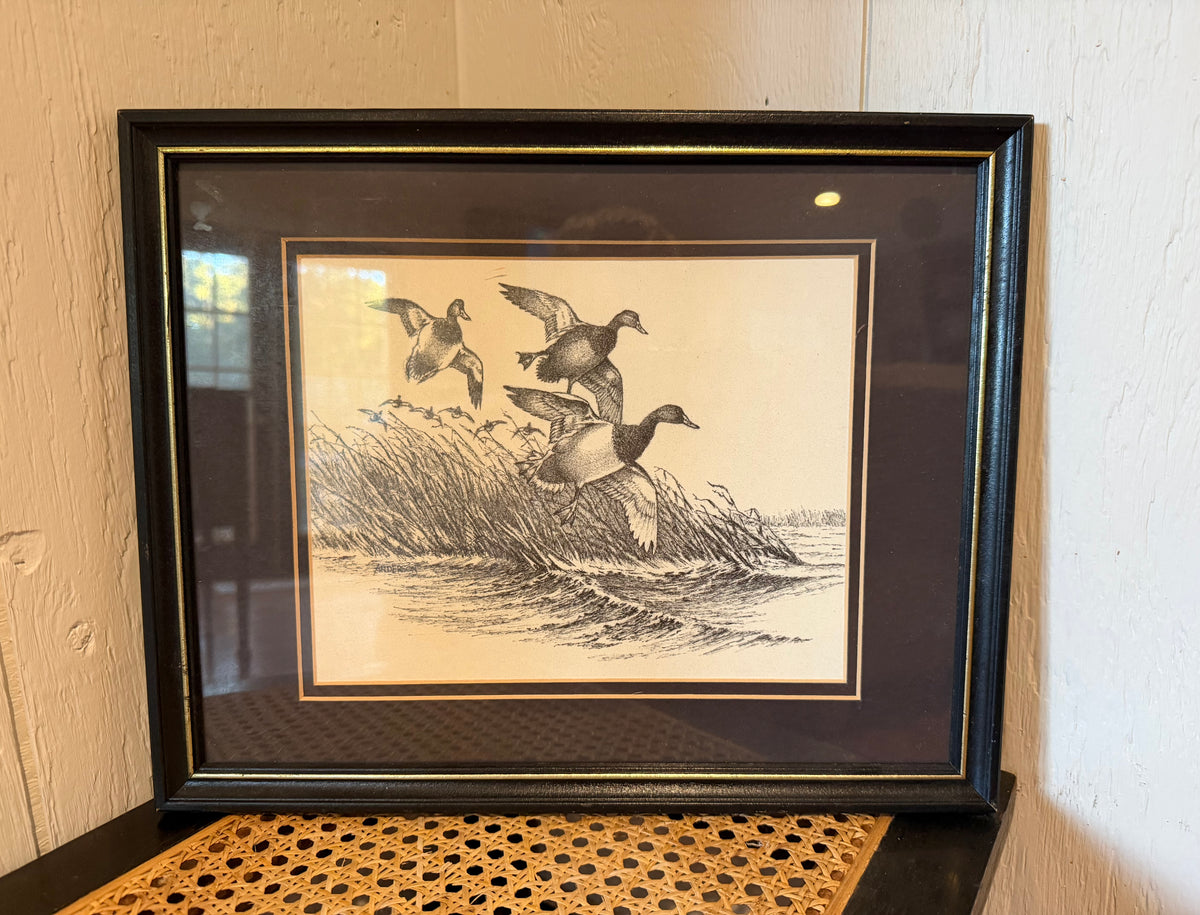 Framed Duck Art