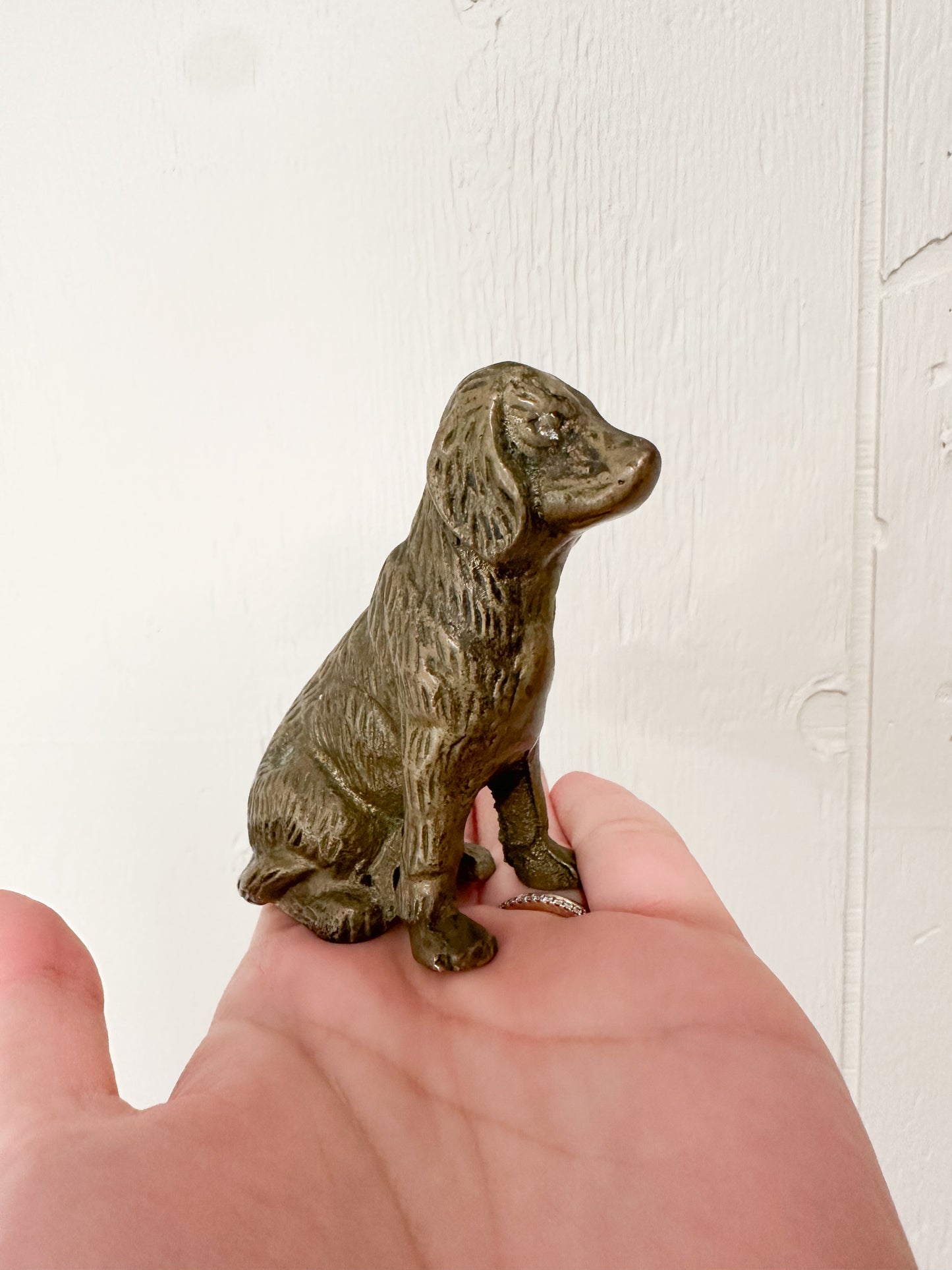 Mini Brass Puppy