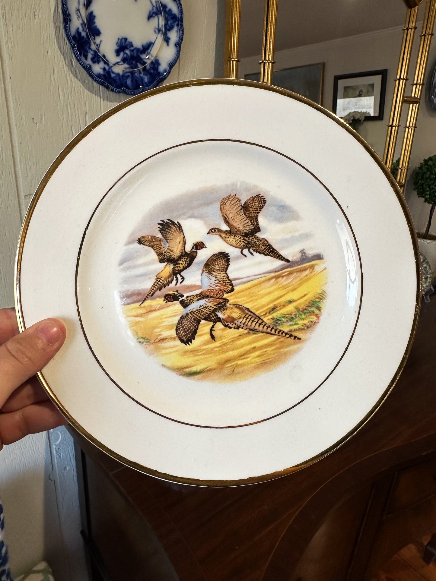 Pheasant & Duck Plate Pair