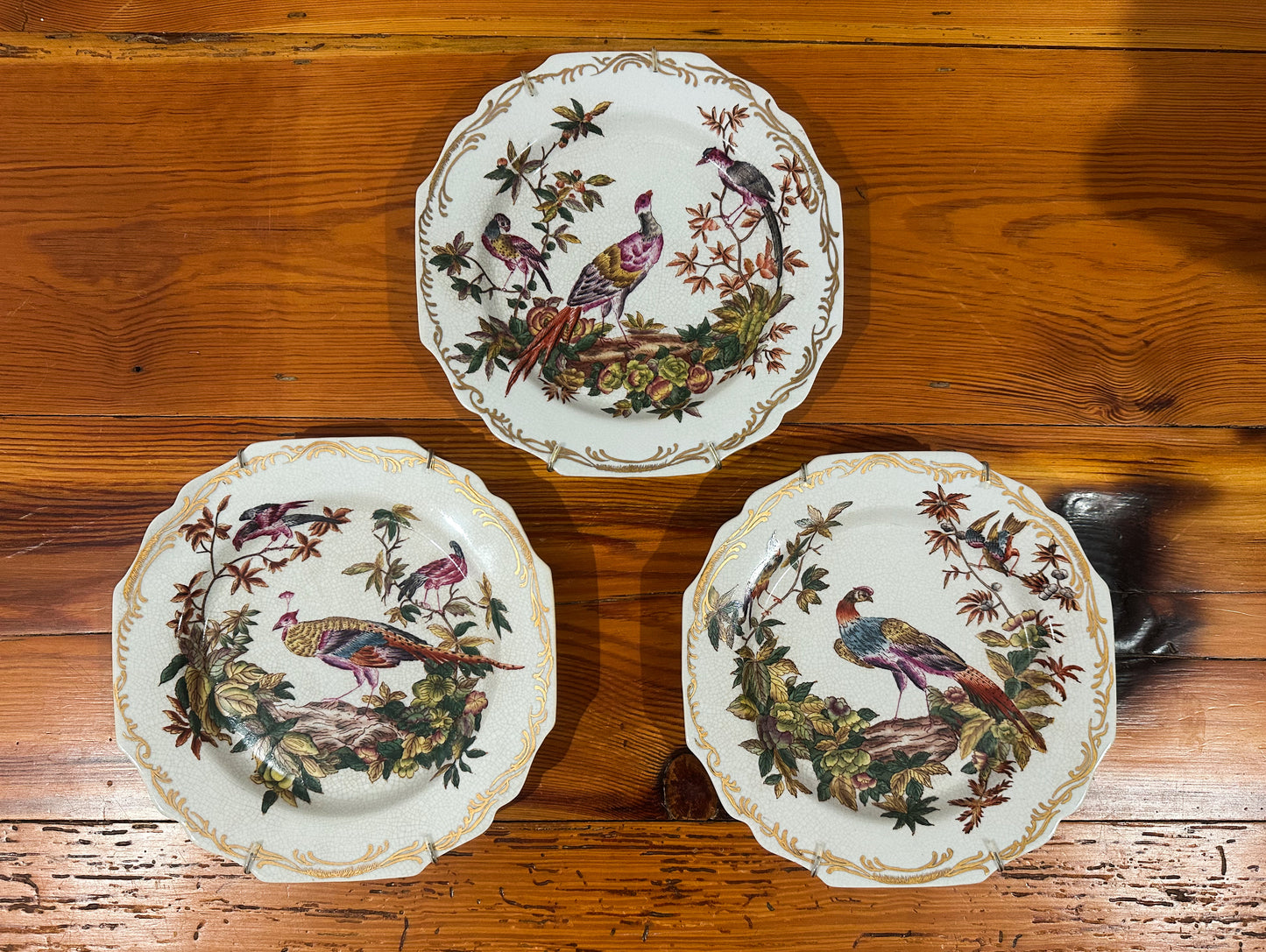 Colorful Pheasant Plates (Set of 3)