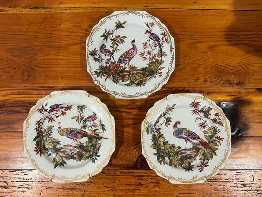 Colorful Pheasant Plates (Set of 3)
