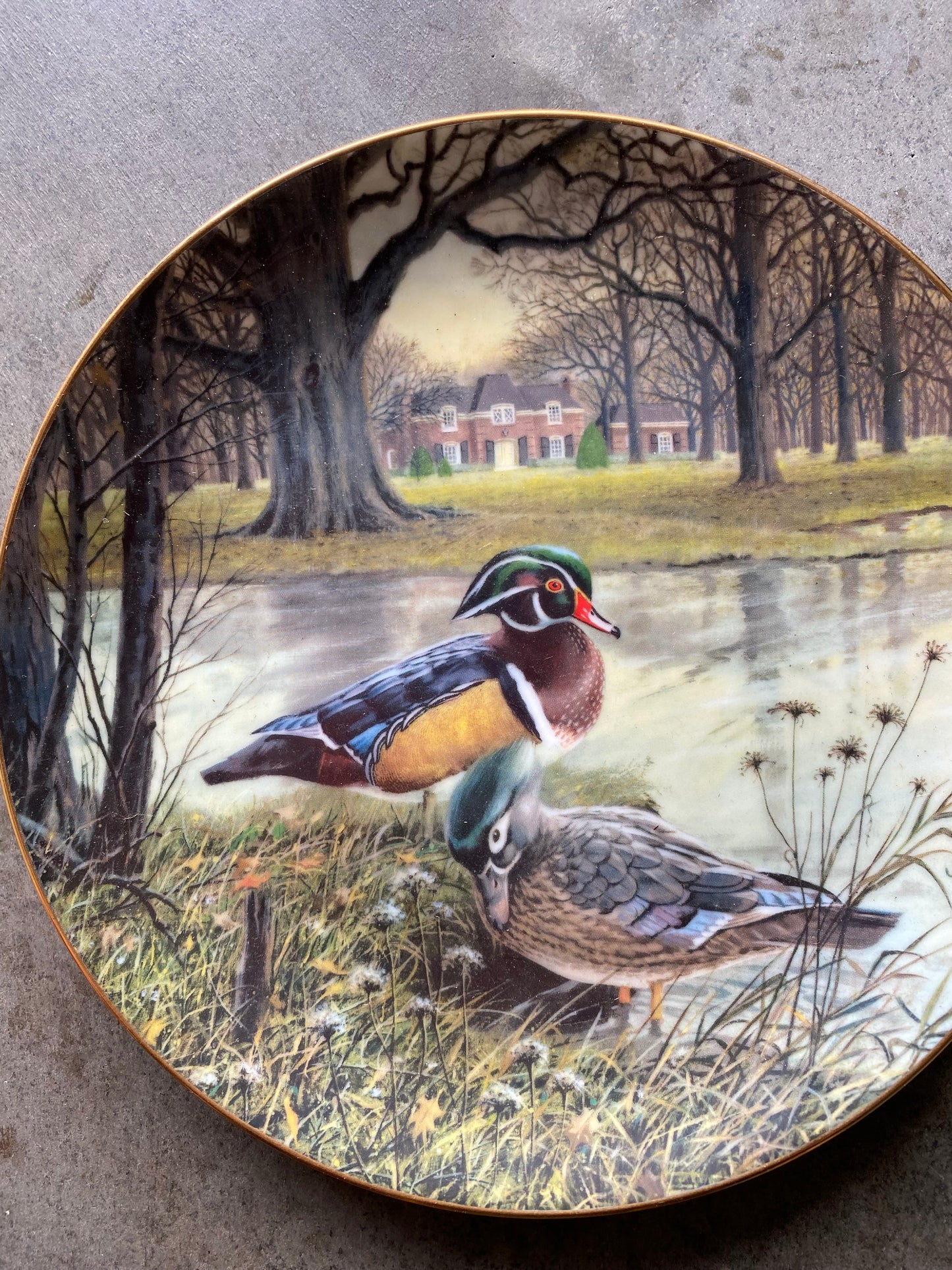 Bart Jerner Duck Plate Set