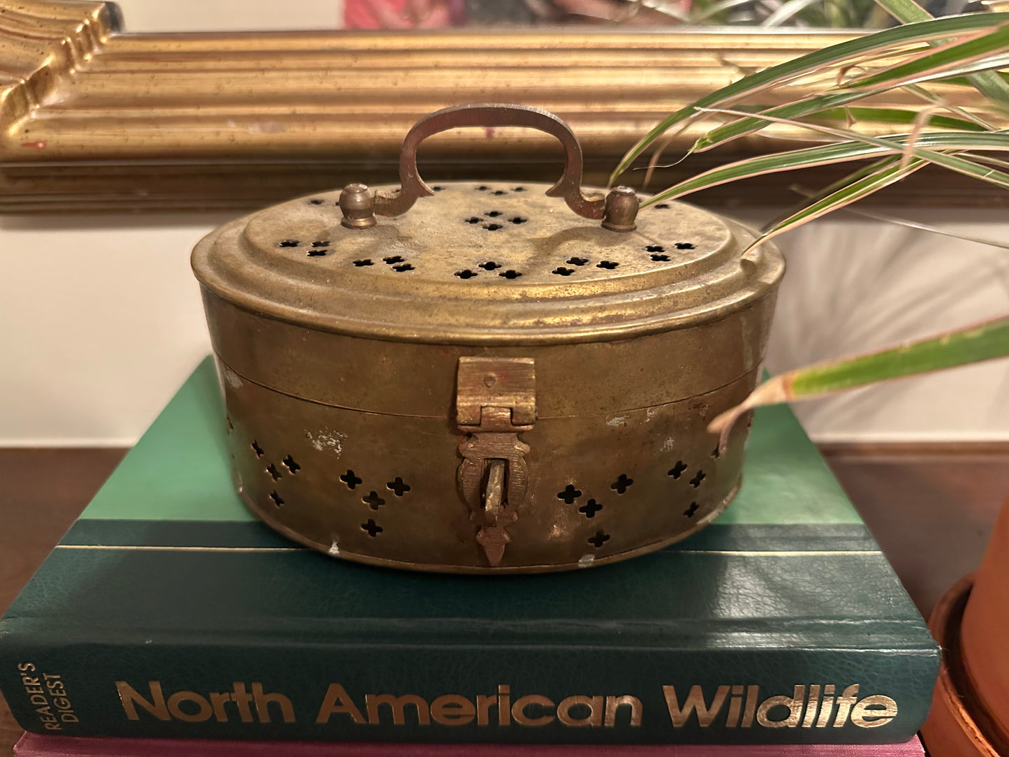 Cricket Box