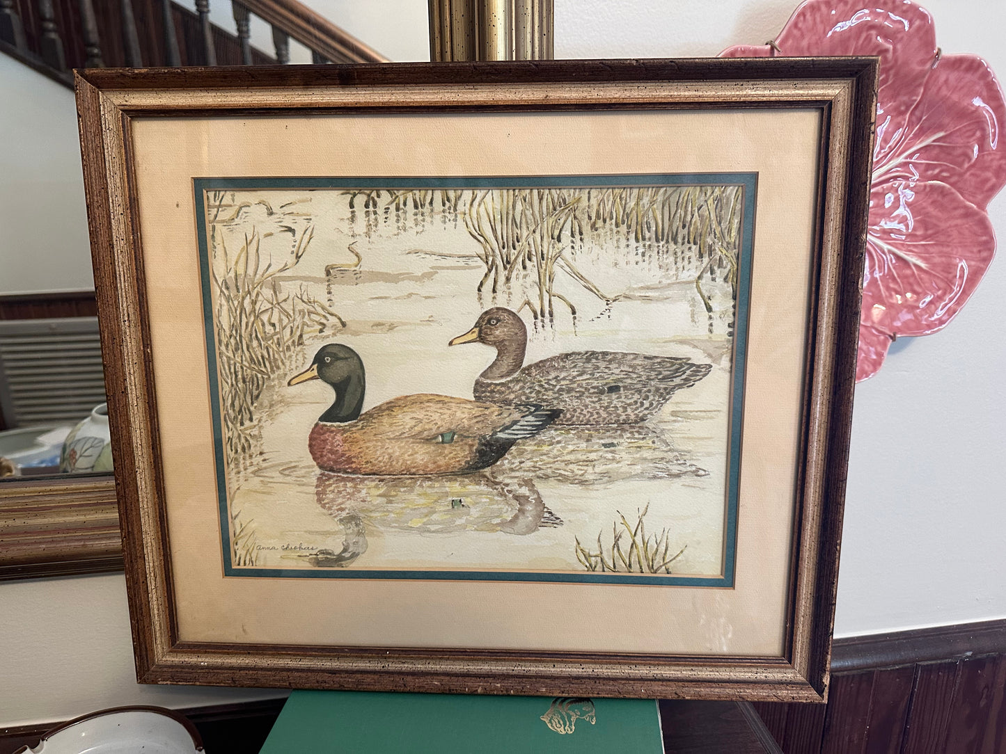 Mallard Picture