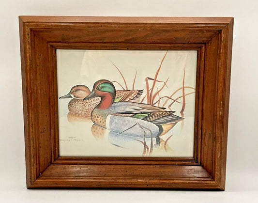 Gregory F. Messier Duck Picture