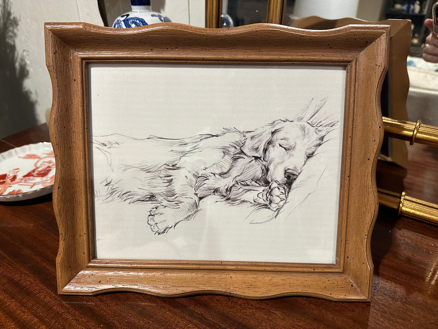Framed Sleeping Golden Retriever