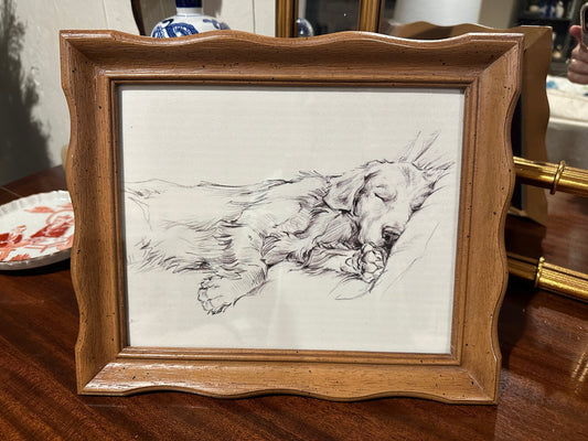 Framed Sleeping Golden Retriever